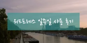 워드프레스 일주일 이용 후기 표지