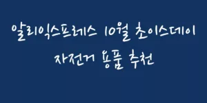 알리 익스프레스 10월 초이스데이 자전거 용품 추천